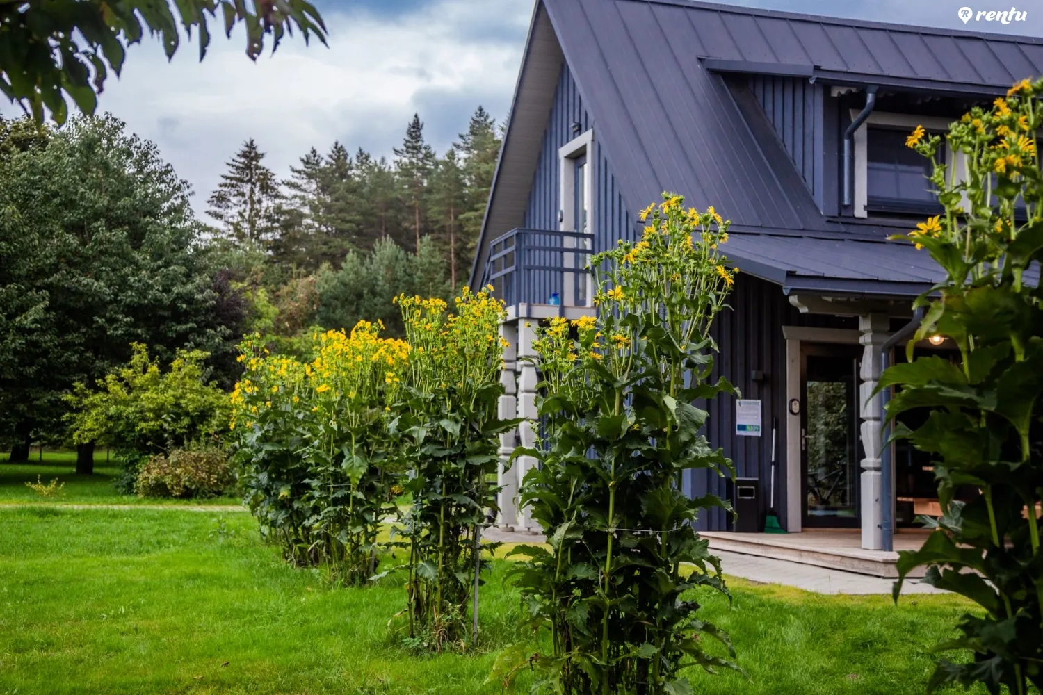 Apartamentai šeimos poilsiui su Spa prie miško | Virš Ąžuolų