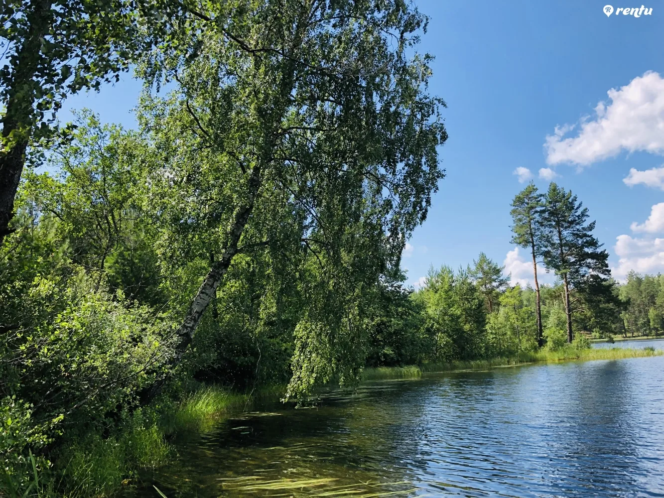 Poilsis prie Ešerinio ežero Labanoro girios apsuptyje